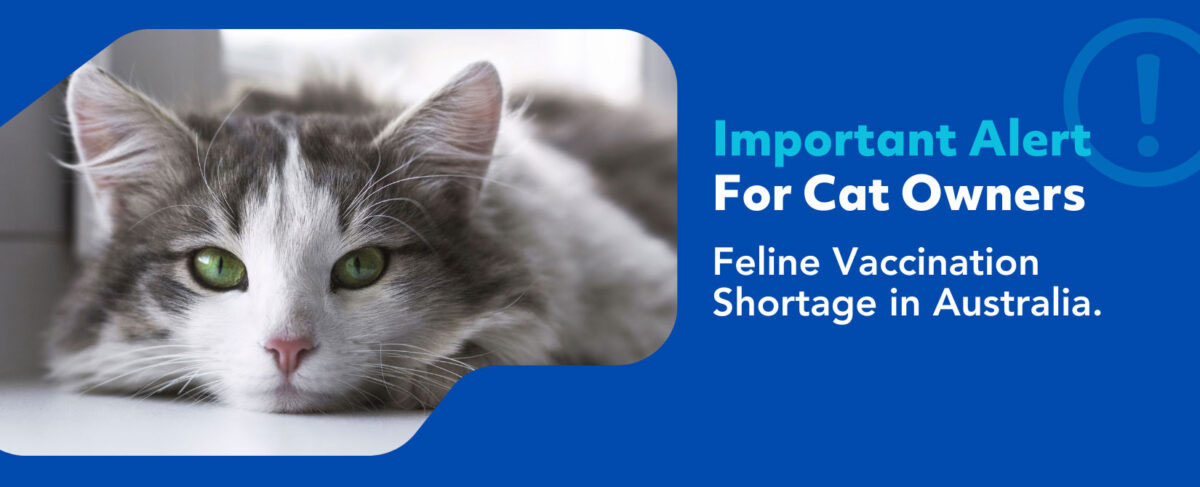 Feline Vaccination shortage